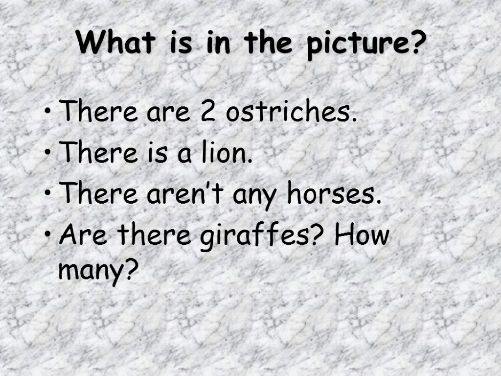 There are 2 ostriches. There is a lion. There aren’t any horses. Are there